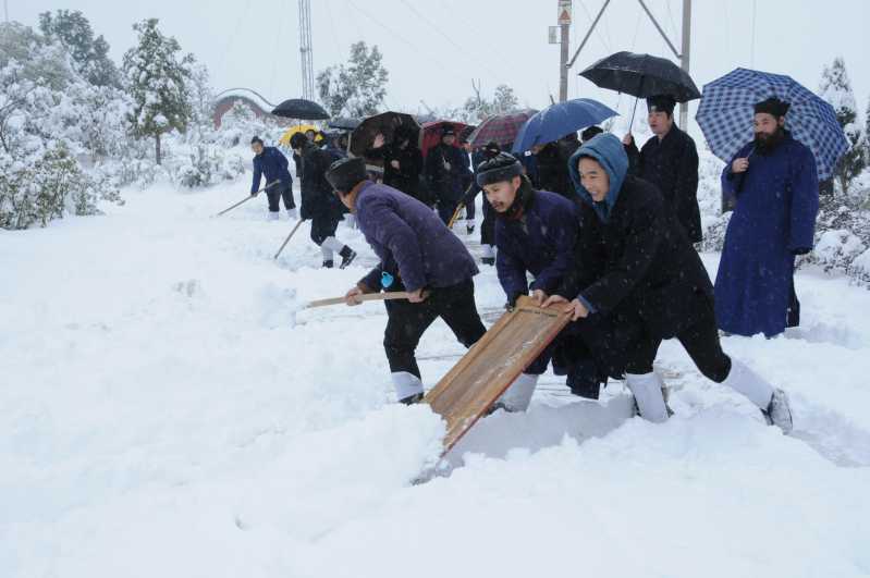 突降罕见暴雪，道学院学生铲雪保道路畅行